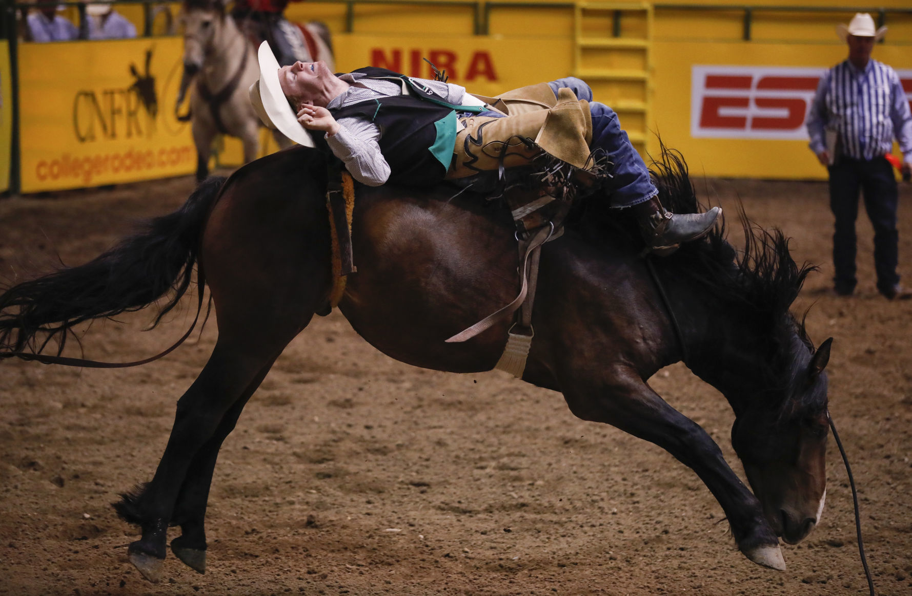 CNFR - Tuesday